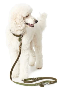 Outlet Aalborg Hundesnor Oliven 13/200 Hundesnor I Mange Varianter Og Materialer|Hundesnor Til Hvalpe