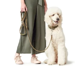 Best Aalborg Hundesnor Oliven 20/200 Hundesnor I Mange Varianter Og Materialer|Hundesnor Til Hvalpe
