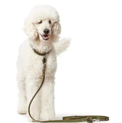 Best Aalborg Hundesnor Oliven 20/200 Hundesnor I Mange Varianter Og Materialer|Hundesnor Til Hvalpe