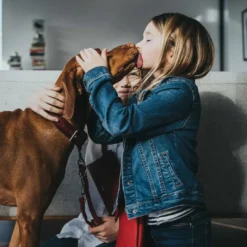 Aalborg Rustica Rød 55 - 40-48 cm Hvalpehalsbånd - Bløde Og Sikre Halsbånd Med Perfekt Pasform Til Din Hvalp|Hundehalsbånd Med Stil - Komfort Og Sikkerhed Til Din Hund