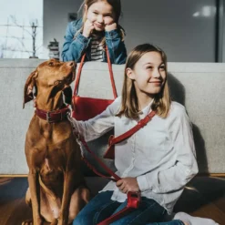 Aalborg Rustica Rød 50 - 36-44 cm Hvalpehalsbånd - Bløde Og Sikre Halsbånd Med Perfekt Pasform Til Din Hvalp|Hundehalsbånd Med Stil - Komfort Og Sikkerhed Til Din Hund