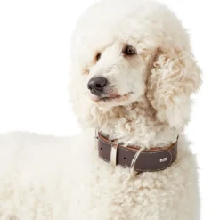 Discount Aalborg Special Hundehalsbånd Brun 35 - 24-30 cm Hvalpehalsbånd - Bløde Og Sikre Halsbånd Med Perfekt Pasform Til Din Hvalp|Hundehalsbånd Med Stil - Komfort Og Sikkerhed Til Din Hund