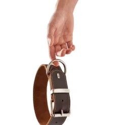 Discount Aalborg Special Hundehalsbånd Brun 35 - 24-30 cm Hvalpehalsbånd - Bløde Og Sikre Halsbånd Med Perfekt Pasform Til Din Hvalp|Hundehalsbånd Med Stil - Komfort Og Sikkerhed Til Din Hund