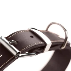 Discount Aalborg Special Hundehalsbånd Brun 45 - 30-38 cm Hvalpehalsbånd - Bløde Og Sikre Halsbånd Med Perfekt Pasform Til Din Hvalp|Hundehalsbånd Med Stil - Komfort Og Sikkerhed Til Din Hund
