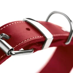 Discount Aalborg Special Hundehalsbånd Rød 45 - 30-38 cm Hvalpehalsbånd - Bløde Og Sikre Halsbånd Med Perfekt Pasform Til Din Hvalp|Hundehalsbånd Med Stil - Komfort Og Sikkerhed Til Din Hund