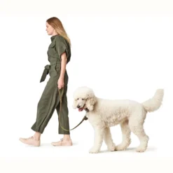Clearance Aalborg Sport Oliven 37 hundehalsbånd - 28-33 cm Hvalpehalsbånd - Bløde Og Sikre Halsbånd Med Perfekt Pasform Til Din Hvalp|Hundehalsbånd Med Stil - Komfort Og Sikkerhed Til Din Hund