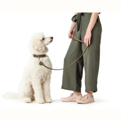 Clearance Aalborg Sport Oliven 37 hundehalsbånd - 28-33 cm Hvalpehalsbånd - Bløde Og Sikre Halsbånd Med Perfekt Pasform Til Din Hvalp|Hundehalsbånd Med Stil - Komfort Og Sikkerhed Til Din Hund