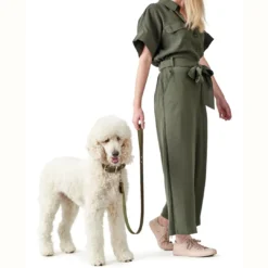 Clearance Aalborg Sport Oliven 37 hundehalsbånd - 28-33 cm Hvalpehalsbånd - Bløde Og Sikre Halsbånd Med Perfekt Pasform Til Din Hvalp|Hundehalsbånd Med Stil - Komfort Og Sikkerhed Til Din Hund