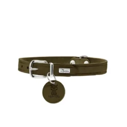 Clearance Aalborg Sport Oliven 37 hundehalsbånd - 28-33 cm Hvalpehalsbånd - Bløde Og Sikre Halsbånd Med Perfekt Pasform Til Din Hvalp|Hundehalsbånd Med Stil - Komfort Og Sikkerhed Til Din Hund