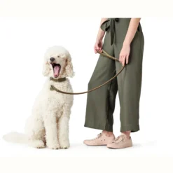 Clearance Aalborg Sport Oliven 37 hundehalsbånd - 28-33 cm Hvalpehalsbånd - Bløde Og Sikre Halsbånd Med Perfekt Pasform Til Din Hvalp|Hundehalsbånd Med Stil - Komfort Og Sikkerhed Til Din Hund