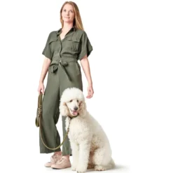 Online Aalborg Sport Oliven 52 hundehalsbånd - 38-47 cm Hvalpehalsbånd - Bløde Og Sikre Halsbånd Med Perfekt Pasform Til Din Hvalp|Hundehalsbånd Med Stil - Komfort Og Sikkerhed Til Din Hund