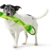 Best Aqua Mindelo Grøn - flydende vandlegetøj til hunde Hundelegetøj Til Alle Hunde Leg Og Aktivering Året Rundt|Legetøj Til Hvalpe - Sjov Leg, Aktivering Og Tryghed Fra Første Dag