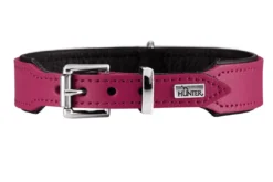 Online Basic halsbånd str.37 Pink - 30,0-34,5 cm Hvalpehalsbånd - Bløde Og Sikre Halsbånd Med Perfekt Pasform Til Din Hvalp|Hundehalsbånd Med Stil - Komfort Og Sikkerhed Til Din Hund