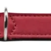 Clearance Basic halsbånd str.32 Rød - 24,0-28,5 cm Hvalpehalsbånd - Bløde Og Sikre Halsbånd Med Perfekt Pasform Til Din Hvalp|Hundehalsbånd Med Stil - Komfort Og Sikkerhed Til Din Hund