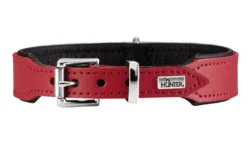 Basic halsbånd str.37 Rød - 30,0-34,5 cm Hvalpehalsbånd - Bløde Og Sikre Halsbånd Med Perfekt Pasform Til Din Hvalp|Hundehalsbånd Med Stil - Komfort Og Sikkerhed Til Din Hund