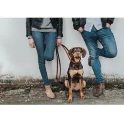 New Cody Cognac Mørkebrun 3-trins hundeline 15/200 Hundesnor I Mange Varianter Og Materialer|Hundesnor Til Hvalpe