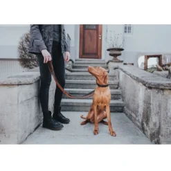 Best Cody Cognac Mørkebrun 3-trins hundeline 20/200 Hundesnor I Mange Varianter Og Materialer|Hundesnor Til Hvalpe