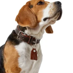 Best Cody 65 Mørkebrun Cognac hundehalsbånd - 50-56 cm Hvalpehalsbånd - Bløde Og Sikre Halsbånd Med Perfekt Pasform Til Din Hvalp|Hundehalsbånd Med Stil - Komfort Og Sikkerhed Til Din Hund
