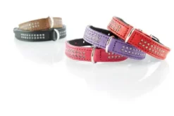Best Diamond petit halsbånd str.32 Sort - 24-28 cm Hvalpehalsbånd - Bløde Og Sikre Halsbånd Med Perfekt Pasform Til Din Hvalp|Hundehalsbånd Med Stil - Komfort Og Sikkerhed Til Din Hund