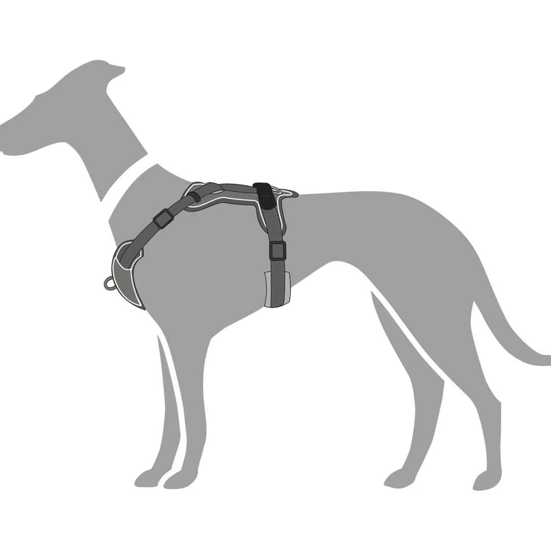 Clearance Divo hundesele L-XL grå/grå just mave 79-107 cm - Stabil kontrol og komfort Hvalpeseler - Bløde Justerbare Seler Der Giver Din Hvalp Tryghed Og Støtte På Turen|Hundeseler Til Alle Behov Og Hundestørrelser