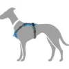 Divo hundesele L-XL lyseblå/grå just mave 79-107 cm - Sikker pasform og høj komfort Hvalpeseler - Bløde Justerbare Seler Der Giver Din Hvalp Tryghed Og Støtte På Turen|Hundeseler Til Alle Behov Og Hundestørrelser