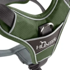 Best Divo hundesele M grøn/grå just mave 56-73 cm - Stabil kontrol og komfort Hvalpeseler - Bløde Justerbare Seler Der Giver Din Hvalp Tryghed Og Støtte På Turen|Hundeseler Til Alle Behov Og Hundestørrelser