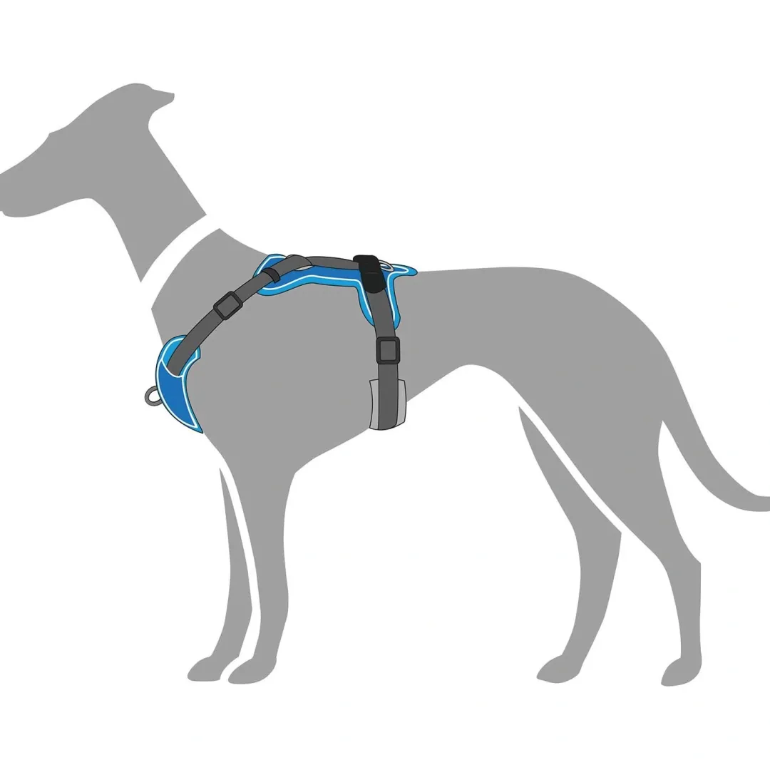 Clearance Divo hundesele M lyseblå/grå just mave 56-73 cm - Stabil pasform og aktiv komfort Hvalpeseler - Bløde Justerbare Seler Der Giver Din Hvalp Tryghed Og Støtte På Turen|Hundeseler Til Alle Behov Og Hundestørrelser