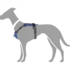 Clearance Divo hundesele M petrol/grå just. mave 56-73 cm - Stabil bevægelse og ergonomisk komfort Hvalpeseler - Bløde Justerbare Seler Der Giver Din Hvalp Tryghed Og Støtte På Turen|Hundeseler Til Alle Behov Og Hundestørrelser