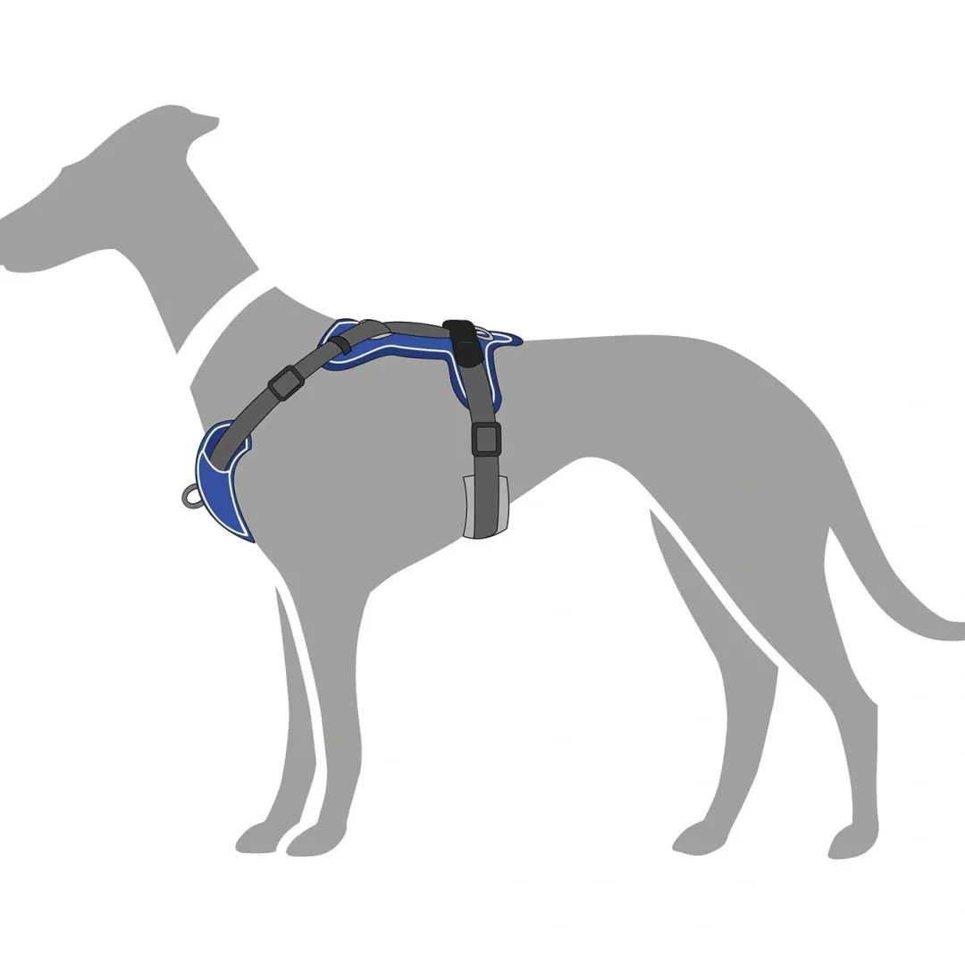 Clearance Divo hundesele M petrol/grå just. mave 56-73 cm - Stabil bevægelse og ergonomisk komfort Hvalpeseler - Bløde Justerbare Seler Der Giver Din Hvalp Tryghed Og Støtte På Turen|Hundeseler Til Alle Behov Og Hundestørrelser