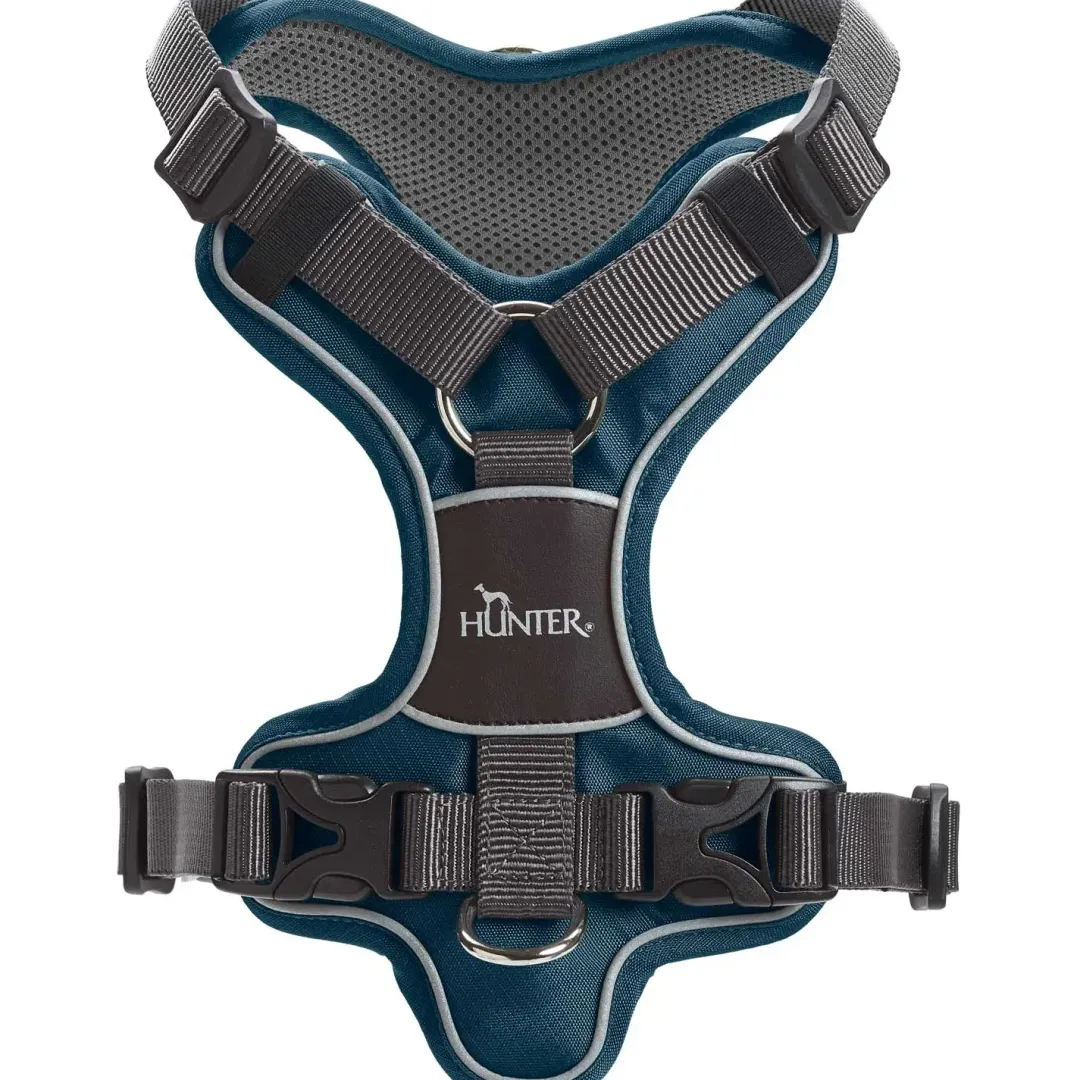 Clearance Divo hundesele M petrol/grå just. mave 56-73 cm - Stabil bevægelse og ergonomisk komfort Hvalpeseler - Bløde Justerbare Seler Der Giver Din Hvalp Tryghed Og Støtte På Turen|Hundeseler Til Alle Behov Og Hundestørrelser