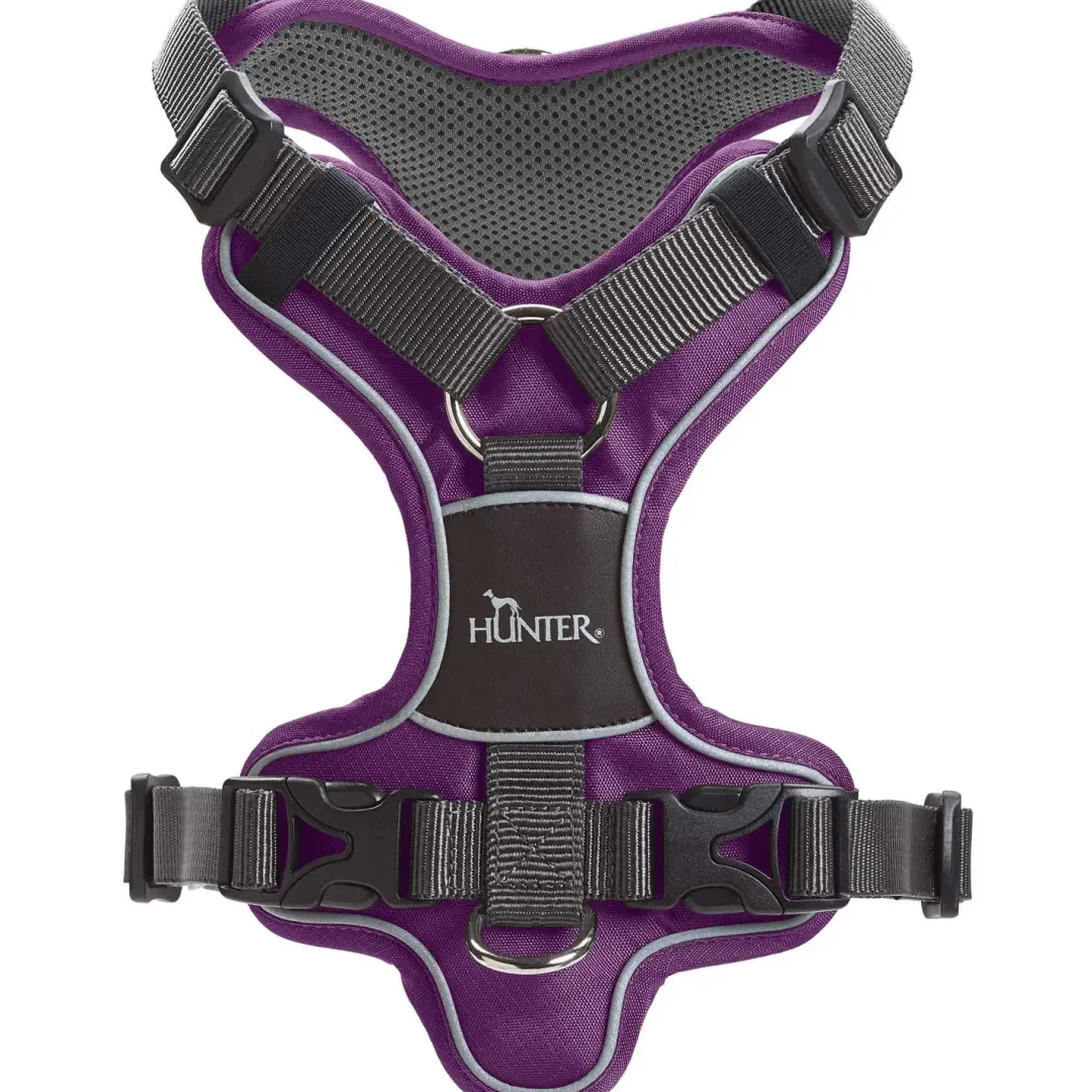 Online Divo hundesele M violet/grå just mave 56-73 cm - Balanceret pasform og komfort Hvalpeseler - Bløde Justerbare Seler Der Giver Din Hvalp Tryghed Og Støtte På Turen|Hundeseler Til Alle Behov Og Hundestørrelser