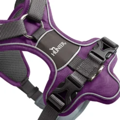 Online Divo hundesele M violet/grå just mave 56-73 cm - Balanceret pasform og komfort Hvalpeseler - Bløde Justerbare Seler Der Giver Din Hvalp Tryghed Og Støtte På Turen|Hundeseler Til Alle Behov Og Hundestørrelser