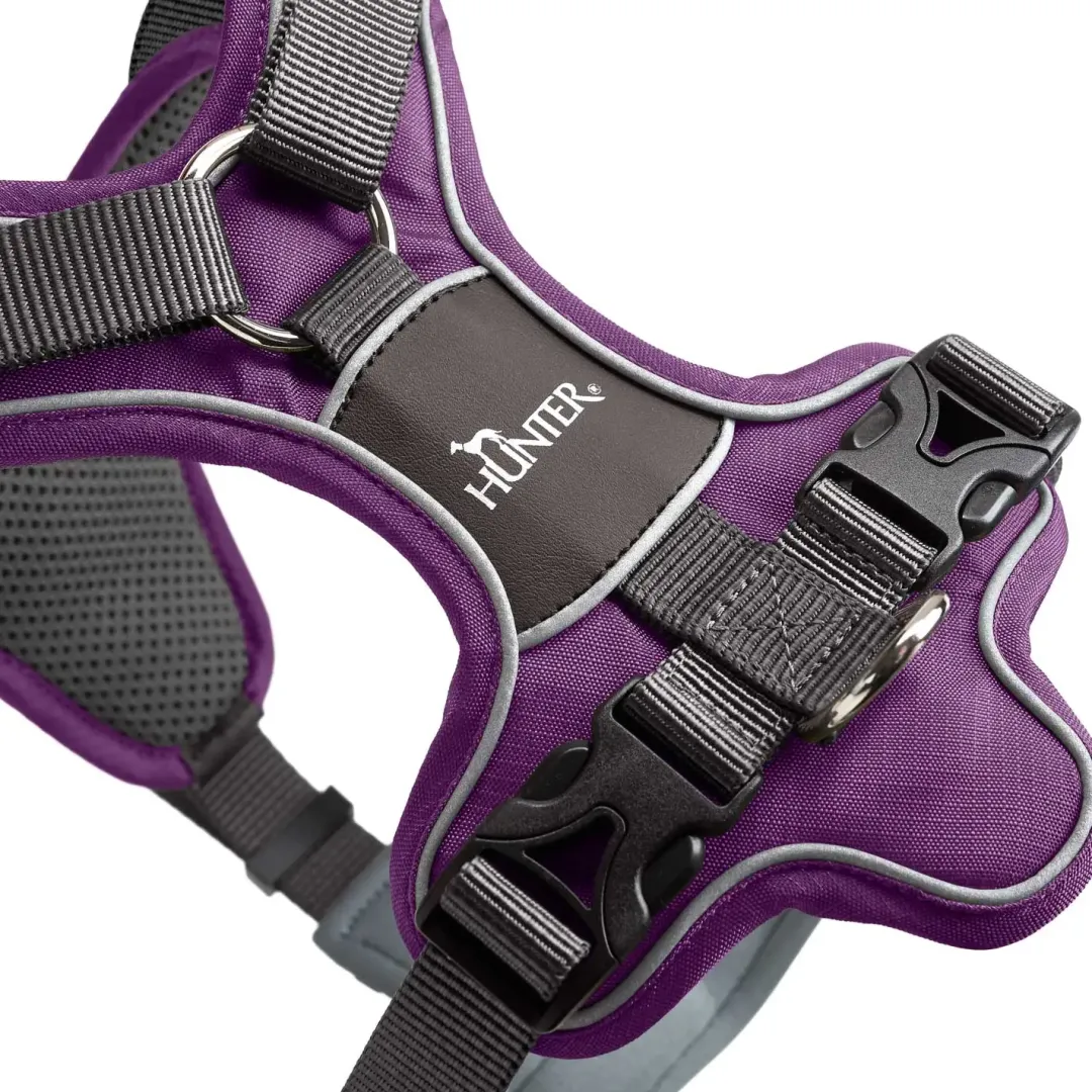 Online Divo hundesele M violet/grå just mave 56-73 cm - Balanceret pasform og komfort Hvalpeseler - Bløde Justerbare Seler Der Giver Din Hvalp Tryghed Og Støtte På Turen|Hundeseler Til Alle Behov Og Hundestørrelser