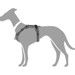 Hot Divo hundesele S grå/grå just mave 45-56 cm - Stabil kontrol og komfort Hvalpeseler - Bløde Justerbare Seler Der Giver Din Hvalp Tryghed Og Støtte På Turen|Hundeseler Til Alle Behov Og Hundestørrelser