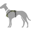Best Divo hundesele S grøn/grå just mave 45-56 cm - Fleksibel kontrol og let komfort Hvalpeseler - Bløde Justerbare Seler Der Giver Din Hvalp Tryghed Og Støtte På Turen|Hundeseler Til Alle Behov Og Hundestørrelser