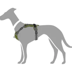 Best Divo hundesele S grøn/grå just mave 45-56 cm - Fleksibel kontrol og let komfort Hvalpeseler - Bløde Justerbare Seler Der Giver Din Hvalp Tryghed Og Støtte På Turen|Hundeseler Til Alle Behov Og Hundestørrelser