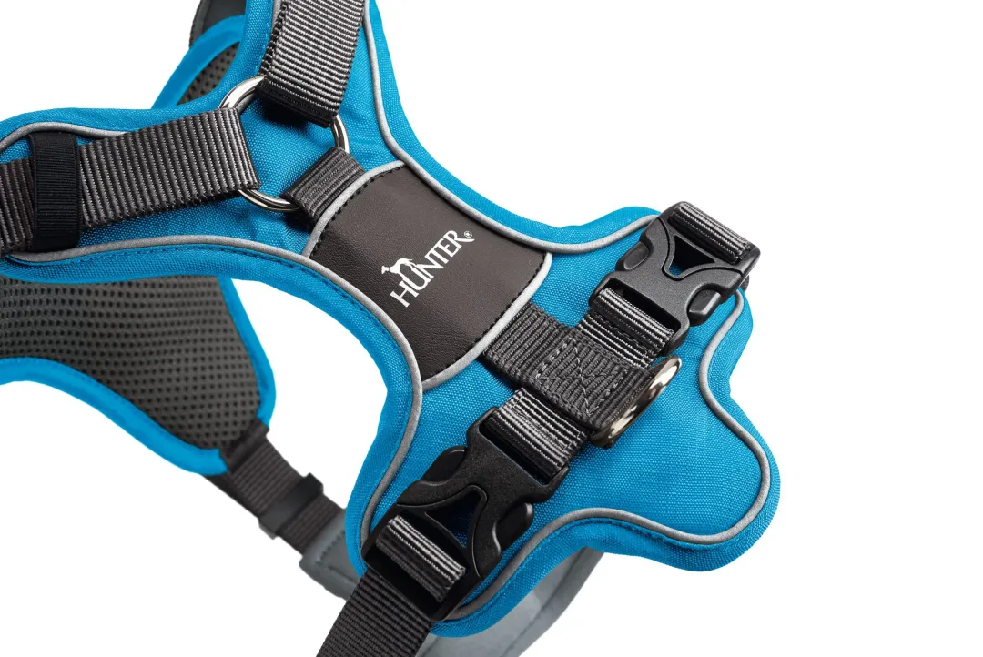 Discount Divo hundesele S lyseblå/grå just mave 45-56 cm - Let kontrol og høj komfort Hvalpeseler - Bløde Justerbare Seler Der Giver Din Hvalp Tryghed Og Støtte På Turen|Hundeseler Til Alle Behov Og Hundestørrelser