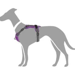 Discount Divo hundesele S-M violet/grå just mave 52-68 cm - Fleksibel støtte og komfort Hvalpeseler - Bløde Justerbare Seler Der Giver Din Hvalp Tryghed Og Støtte På Turen|Hundeseler Til Alle Behov Og Hundestørrelser