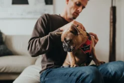 Clearance Divo hundesele S rød/grå just mave 45-56 cm - Smidig pasform og stabil kontrol Hvalpeseler - Bløde Justerbare Seler Der Giver Din Hvalp Tryghed Og Støtte På Turen|Hundeseler Til Alle Behov Og Hundestørrelser