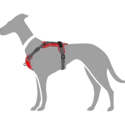 Clearance Divo hundesele S rød/grå just mave 45-56 cm - Smidig pasform og stabil kontrol Hvalpeseler - Bløde Justerbare Seler Der Giver Din Hvalp Tryghed Og Støtte På Turen|Hundeseler Til Alle Behov Og Hundestørrelser