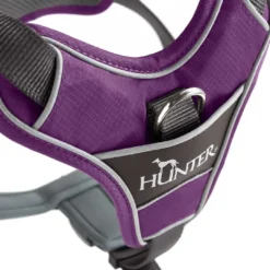 Best Divo hundesele S violet/grå just mave 45-56 cm - Tryg pasform og bevægelse Hvalpeseler - Bløde Justerbare Seler Der Giver Din Hvalp Tryghed Og Støtte På Turen|Hundeseler Til Alle Behov Og Hundestørrelser