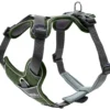 Discount Divo hundesele XS grøn/grå just mave 34-47 cm - Let komfort og tryg pasform Hvalpeseler - Bløde Justerbare Seler Der Giver Din Hvalp Tryghed Og Støtte På Turen|Hundeseler Til Alle Behov Og Hundestørrelser
