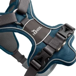 Sale Divo hundesele XS petrol/grå just mave 34-47 cm - Stabil pasform og synlig sikkerhed Hvalpeseler - Bløde Justerbare Seler Der Giver Din Hvalp Tryghed Og Støtte På Turen|Hundeseler Til Alle Behov Og Hundestørrelser