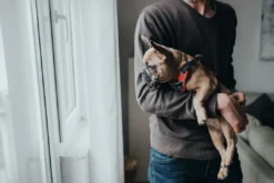 New Divo hundesele XS rød/grå just mave 34-47 cm - Let pasform og tryg kontrol Hvalpeseler - Bløde Justerbare Seler Der Giver Din Hvalp Tryghed Og Støtte På Turen|Hundeseler Til Alle Behov Og Hundestørrelser
