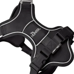 Sale Divo Up hundesele L-XL sort just mave 79-107 cm - Maksimal stabilitet og tryg kontrol Hvalpeseler - Bløde Justerbare Seler Der Giver Din Hvalp Tryghed Og Støtte På Turen|Hundeseler Til Alle Behov Og Hundestørrelser
