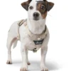 Outlet Divo Up hundesele M beige just mave 56-73 cm - Stabil bevægelse og ergonomisk komfort Hvalpeseler - Bløde Justerbare Seler Der Giver Din Hvalp Tryghed Og Støtte På Turen|Hundeseler Til Alle Behov Og Hundestørrelser