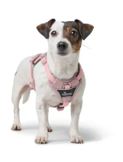 Divo Up hundesele M lyserød just mave 56-73 cm - Stabil bevægelse og afbalanceret komfort Hvalpeseler - Bløde Justerbare Seler Der Giver Din Hvalp Tryghed Og Støtte På Turen|Hundeseler Til Alle Behov Og Hundestørrelser