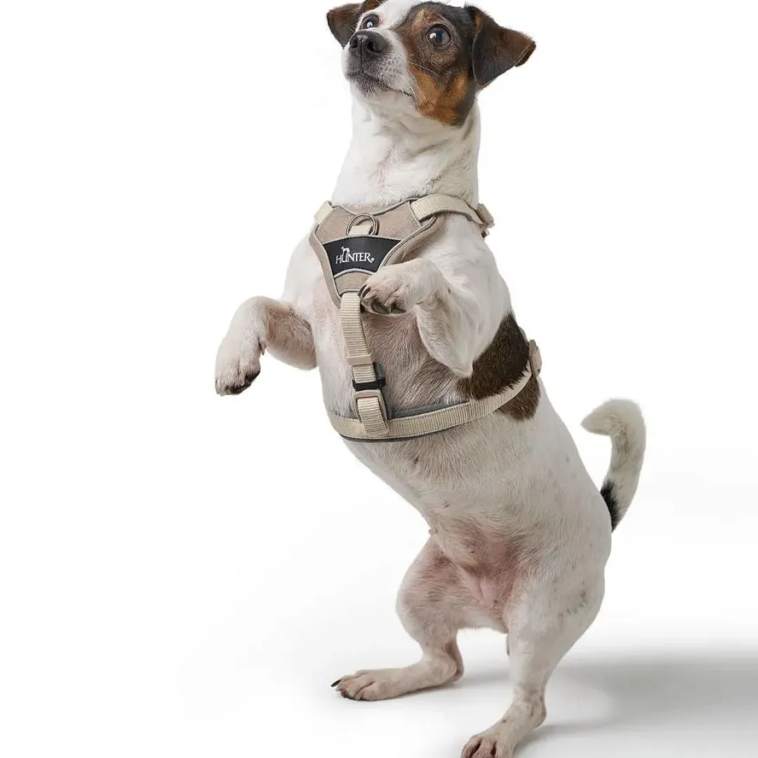 Best Divo Up hundesele S beige just mave 45-56 cm - Rolig påtagning og stabil komfort Hvalpeseler - Bløde Justerbare Seler Der Giver Din Hvalp Tryghed Og Støtte På Turen|Hundeseler Til Alle Behov Og Hundestørrelser