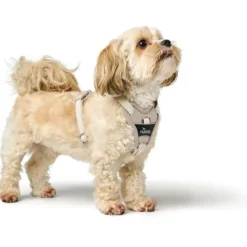 Best Divo Up hundesele S beige just mave 45-56 cm - Rolig påtagning og stabil komfort Hvalpeseler - Bløde Justerbare Seler Der Giver Din Hvalp Tryghed Og Støtte På Turen|Hundeseler Til Alle Behov Og Hundestørrelser