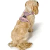 New Divo Up hundesele S lyserød just mave 45-56 cm - Rolig påtagning og stabil komfort Hvalpeseler - Bløde Justerbare Seler Der Giver Din Hvalp Tryghed Og Støtte På Turen|Hundeseler Til Alle Behov Og Hundestørrelser